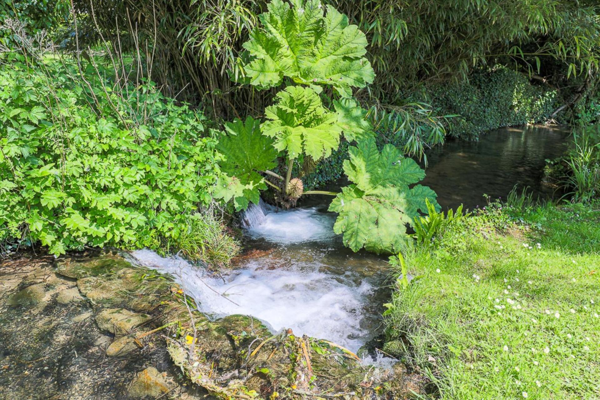 Bankside Cottage Blockley Dış mekan fotoğraf